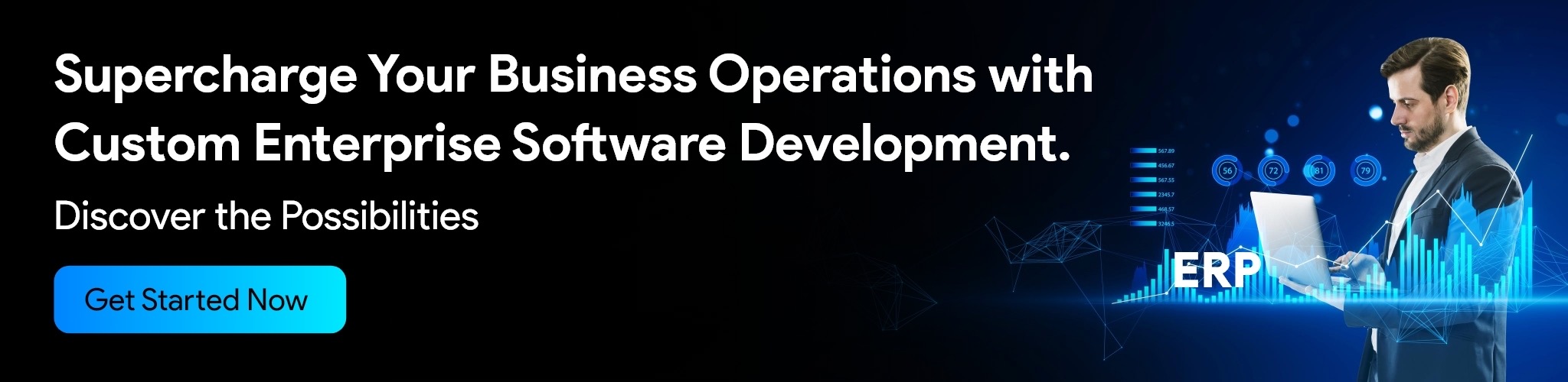 develop an enterprise software